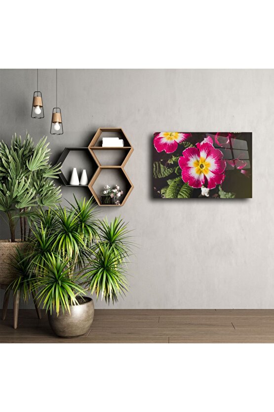 Cam Üzerine Pembe Sarı Çiçek Tablosu