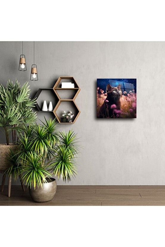 Yıldızlı Gece ve Çiçekler Arasında Siyah Kedi Cam Tablo