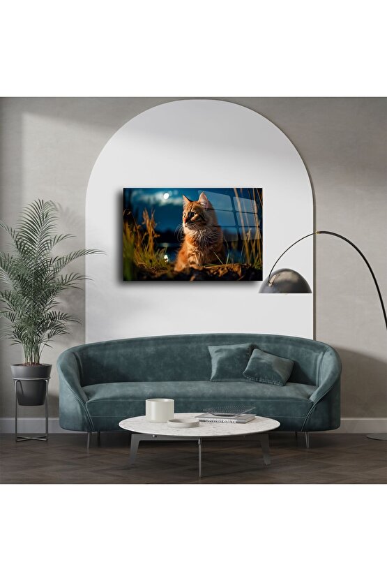 Kedi Temalı Temperli Cam Duvar Tablosu