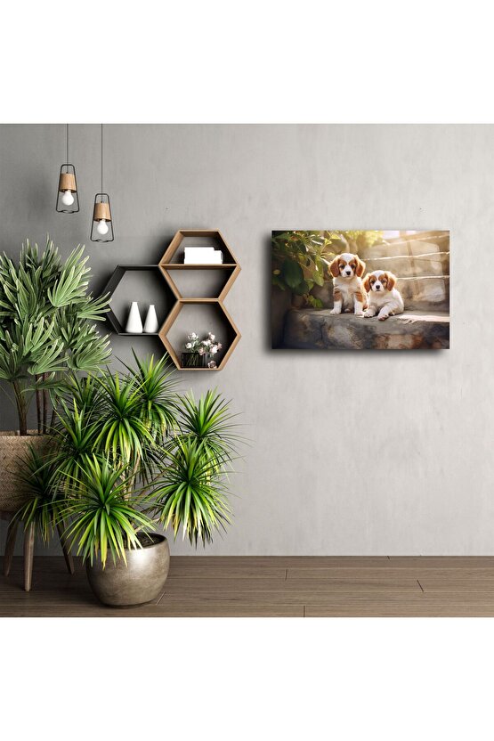 Parlak Akrilik Duvar Sanatı