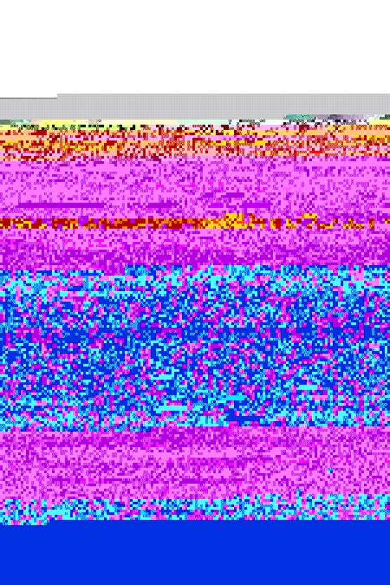 Matisse - Boho - Art Deco - Soyut - Doğa ( 3 lü Çerçevesiz ) Poster - Afiş - Tablo KR2C01097