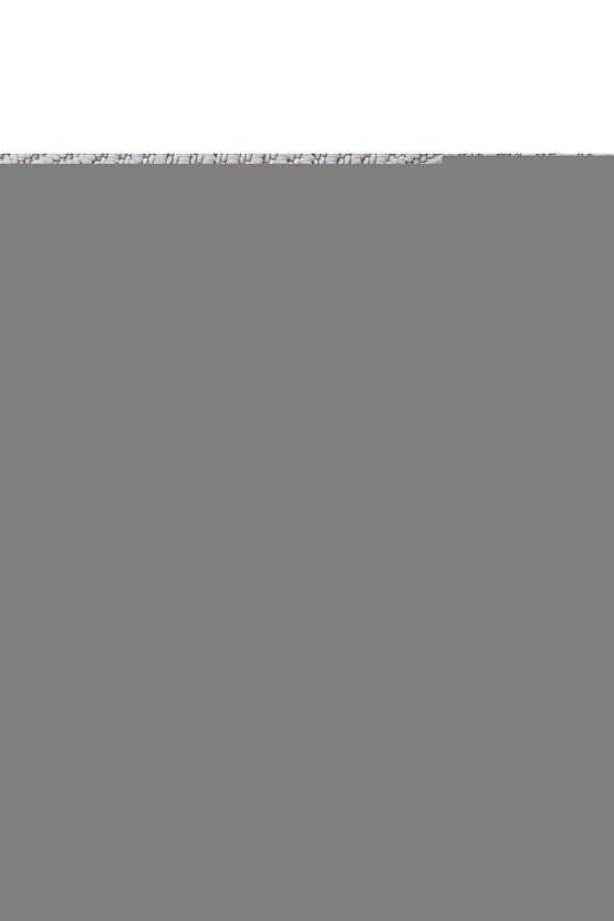 Kellys Heroes (1970) 003 AFİŞ - POSTER