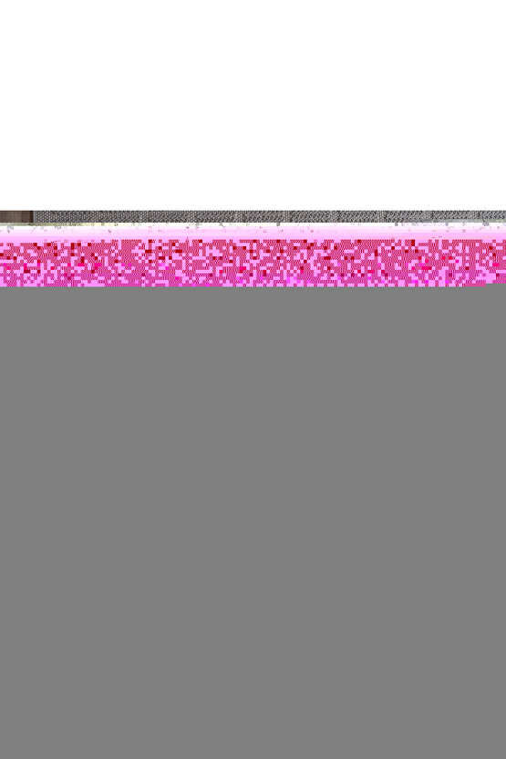 Soyut Düşünen Kadın Digital Art ( ÇERÇEVESİZ - ÇERÇEVE YOKTUR ) ( ULTRA HD ) FOLYO AFİŞ - POSTER