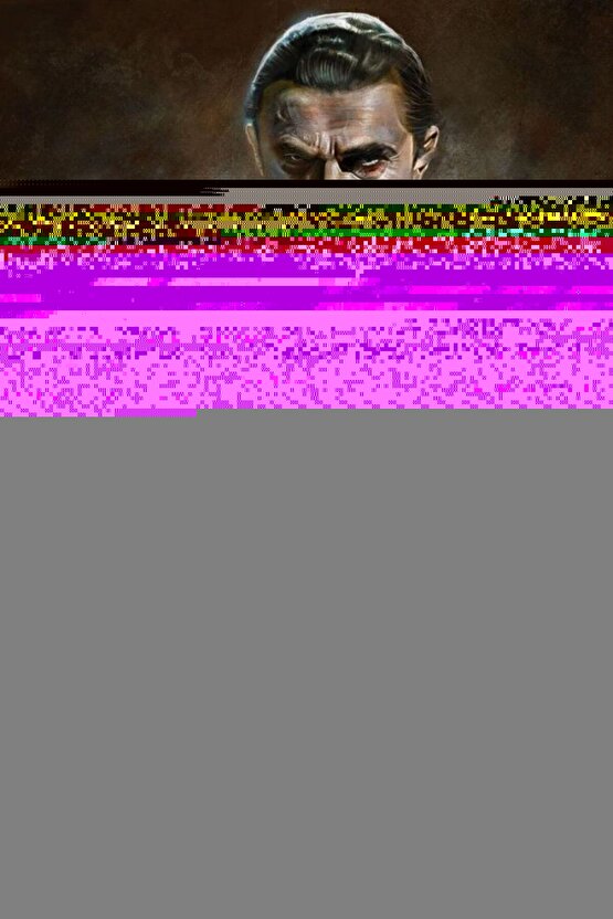 Balıkçıl Kuşları Digital Art ( ÇERÇEVESİZ - ÇERÇEVE YOKTUR ) ( ULTRA HD ) FOLYO AFİŞ - POSTER