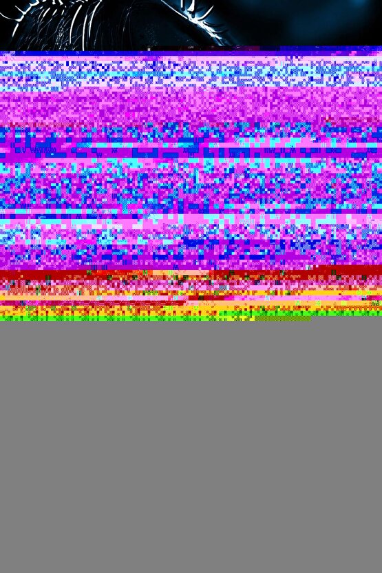 The Lord of the Rings The Fellowship of the Ring 2001 6 POSTER AFİŞ