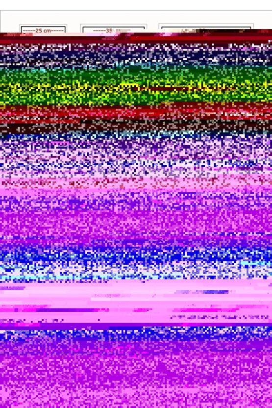 Matisse - Sanat - Soyut - Doğa - Ev - Yaşam ( 2 Li Çerçevesiz ) Poster - Afiş - Tablo NNHT113