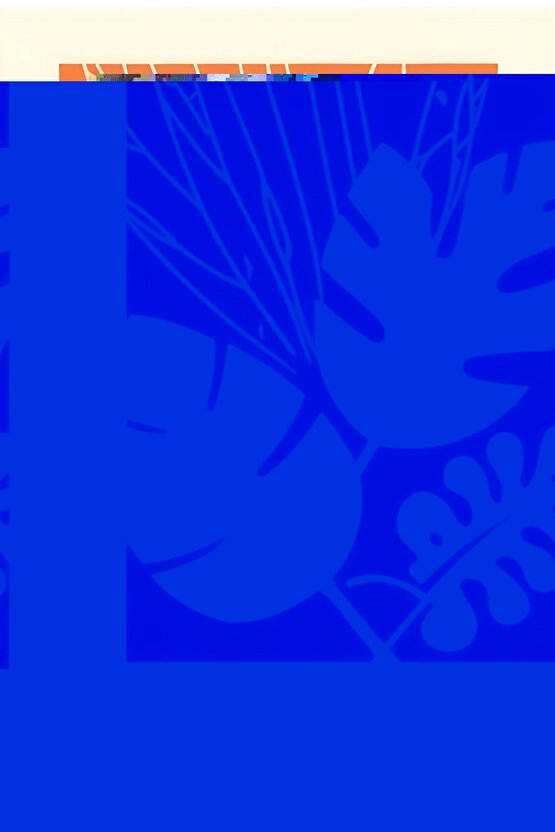 Matisse - Sanat - Soyut - Doğa - Ev - Yaşam ( 2 Li Çerçevesiz ) Poster - Afiş - Tablo NNHT465