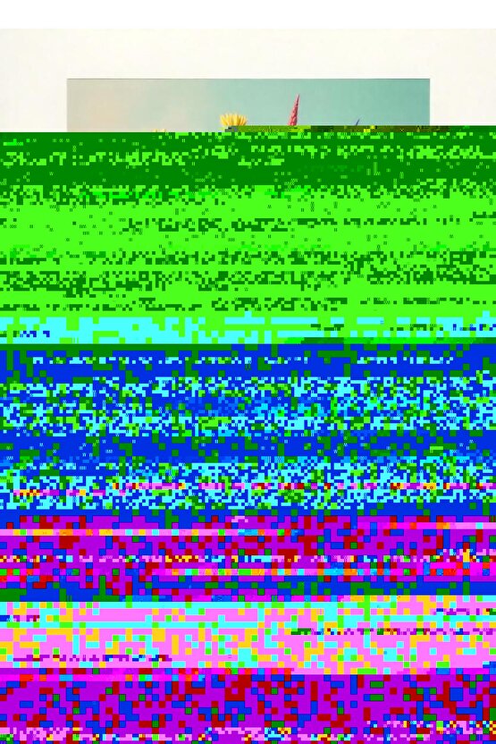 Safe (2012) AFİŞ - POSTER ( FOLYO ) - AFİŞ - POSTER-5555