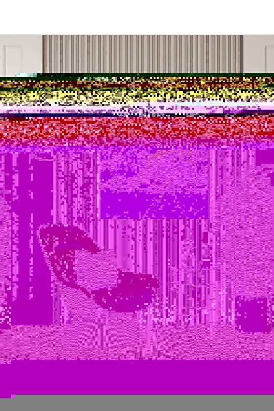 Matisse - Sanat - Soyut - Doğa - Yaşam ( Tekli Çerçevesiz ) Poster - Afiş - Tablo MKKM2333