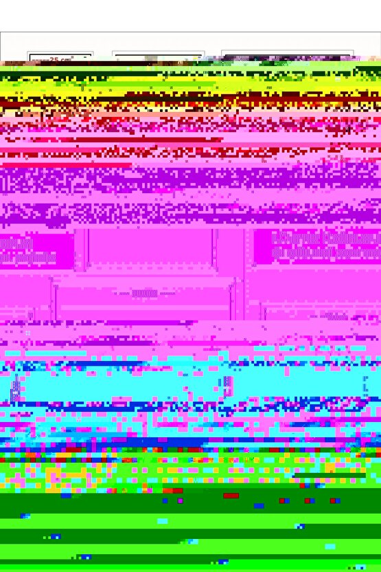 Matisse - Sanat - Soyut - Doğa - Yaşam ( Tekli Çerçevesiz ) Poster - Afiş - Tablo MKKM1354