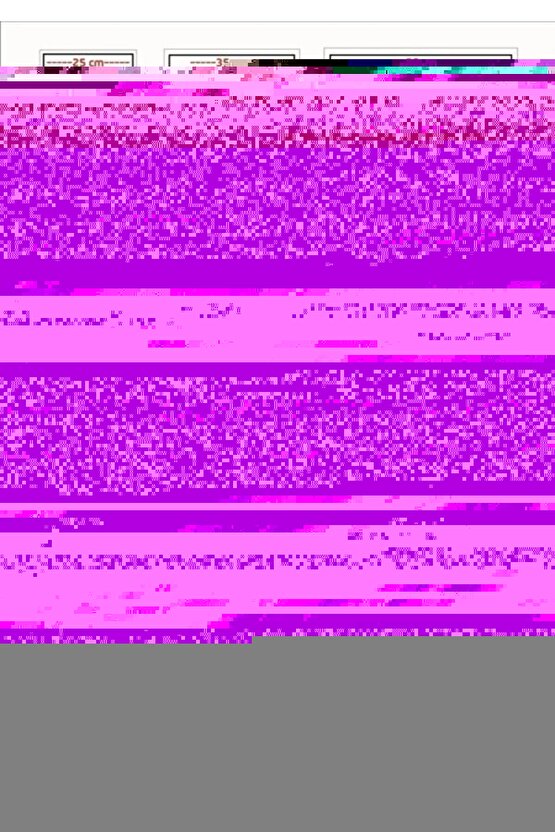 Matisse - Sanat - Soyut - Doğa - Yaşam ( Tekli Çerçevesiz ) Poster - Afiş - Tablo MKKM1309