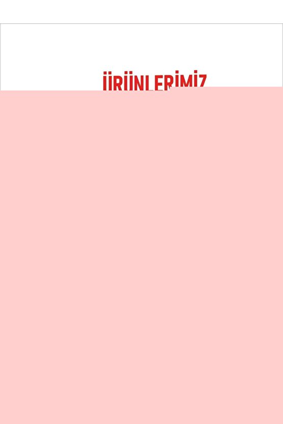 Matisse - Sanat - Soyut - Doğa - Yaşam ( Tekli Çerçevesiz ) Poster - Afiş - Tablo MKKM1093