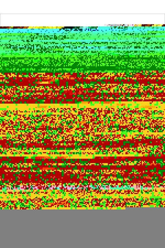 A Nightmare on Elm Street The Dream Child (1989) ( FOLYO ) - AFİŞ - POSTER-1113