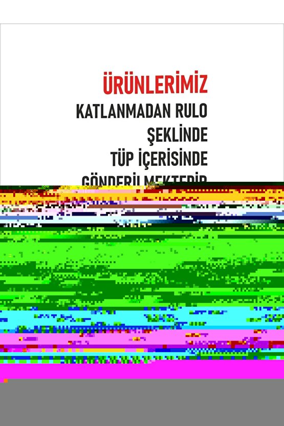 Matisse - Boho - Art Deco - Soyut - Doğa ( 3 lü Çerçevesiz ) Poster - Afiş - Tablo KR2C00178