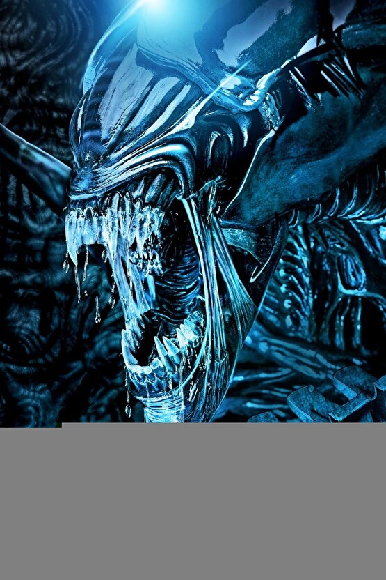 Matisse - Boho - Art Deco - Soyut - Doğa ( 3 lü Çerçevesiz ) Poster - Afiş - Tablo KR2C00889