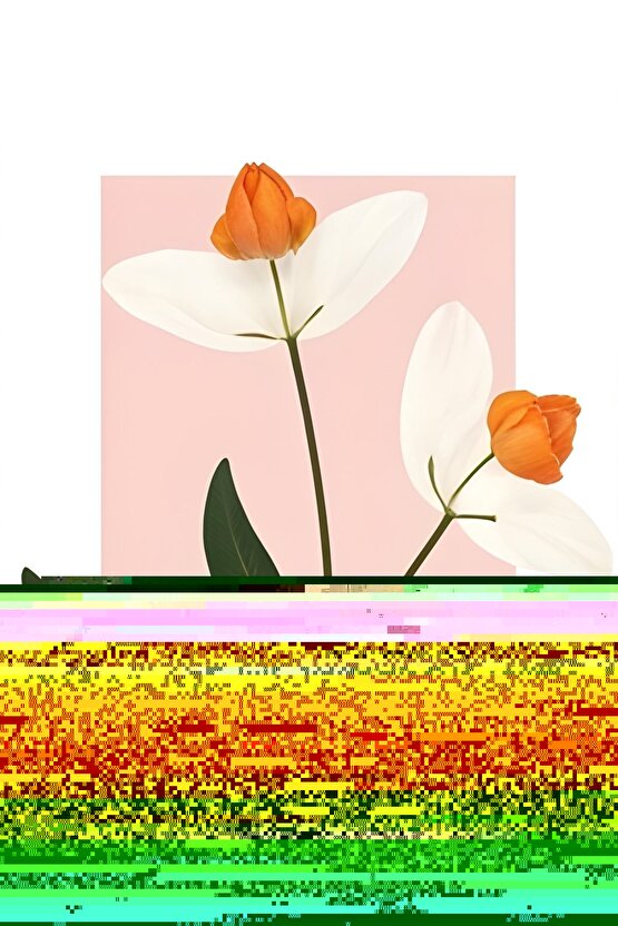 Matisse - Sanat - Soyut - Doğa - Ev - Yaşam ( 2 Li Çerçevesiz ) Poster - Afiş - Tablo NNHT242