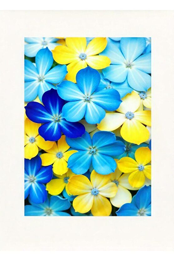 Matisse - Boho - Art Deco - Soyut - Doğa ( 3 lü Çerçevesiz ) Poster - Afiş - Tablo KR2C00300