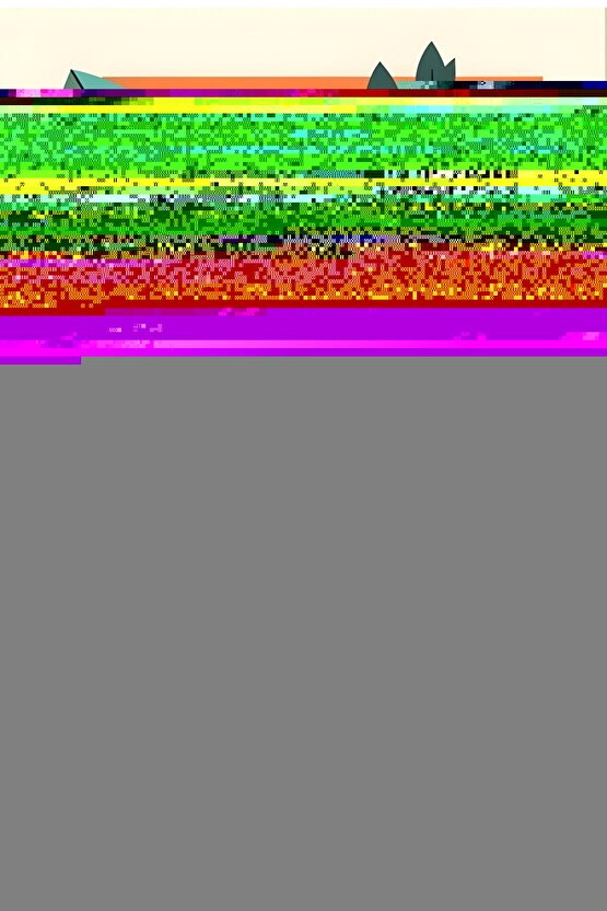 Matisse - Sanat - Soyut - Doğa - Ev - Yaşam ( 2 Li Çerçevesiz ) Poster - Afiş - Tablo NNHT637