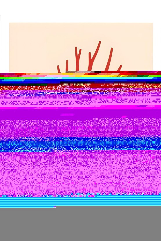 Matisse - Boho - Art Deco - Soyut - Doğa ( 3 lü Çerçevesiz ) Poster - Afiş - Tablo KR2C01236