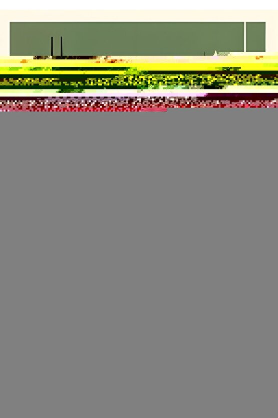 Matisse - Boho - Art Deco - Soyut - Doğa ( 3 lü Çerçevesiz ) Poster - Afiş - Tablo KR2C00148