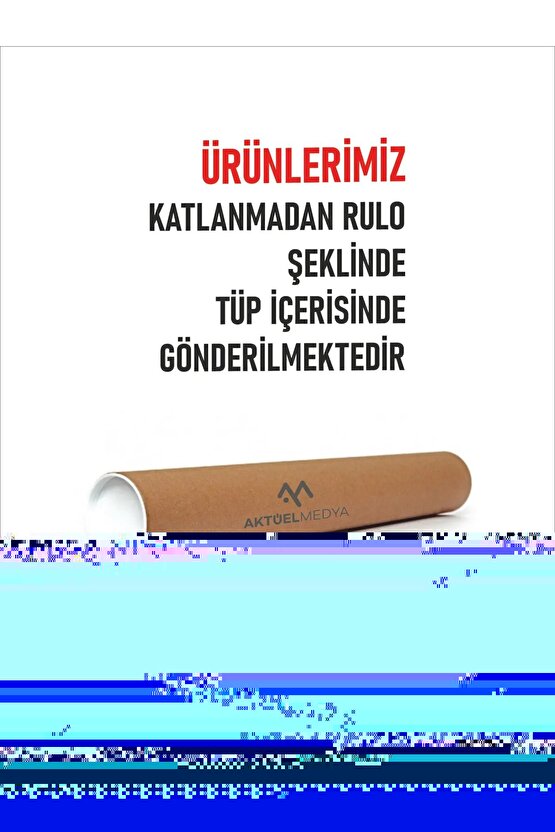 Howls Moving Castle (2004) 003 AFİŞ - POSTER