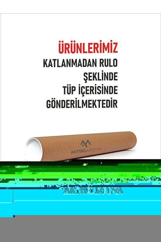 Pelikanlar Digital Art ( ÇERÇEVESİZ - ÇERÇEVE YOKTUR ) ( ULTRA HD ) FOLYO AFİŞ - POSTER