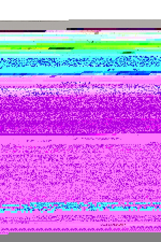 Minik Kedicik Digital Art ( ÇERÇEVESİZ - ÇERÇEVE YOKTUR ) ( ULTRA HD ) FOLYO AFİŞ - POSTER