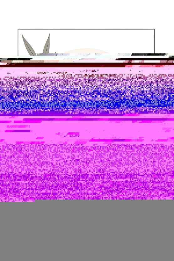 The Suicide Squad (2021) 19 AFİŞ - POSTER ( FOLYO ) - AFİŞ - POSTER-7942