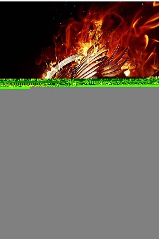 Matisse - Sanat - Soyut - Doğa - Yaşam ( Tekli Çerçevesiz ) Poster - Afiş - Tablo MKKM1219