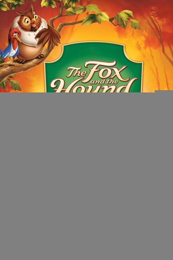 Matisse - Sanat - Soyut - Doğa - Yaşam ( Tekli Çerçevesiz ) Poster - Afiş - Tablo MKKM1322