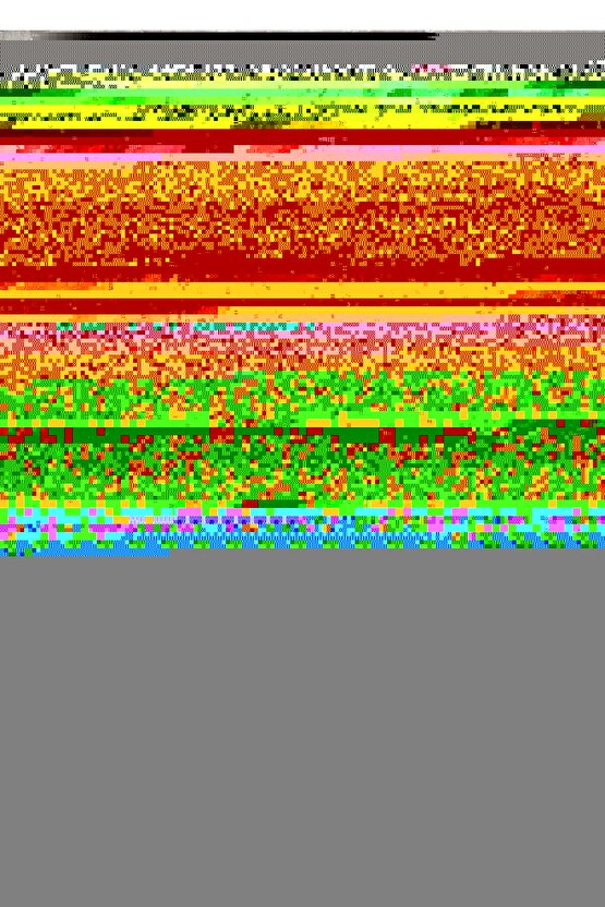 The Evil Dead (1981) 1 AFİŞ - POSTER ( FOLYO ) - AFİŞ - POSTER-6837