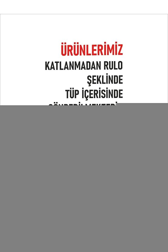 Matisse - Boho - Art Deco - Soyut - Doğa ( 3 lü Çerçevesiz ) Poster - Afiş - Tablo KR2C01208