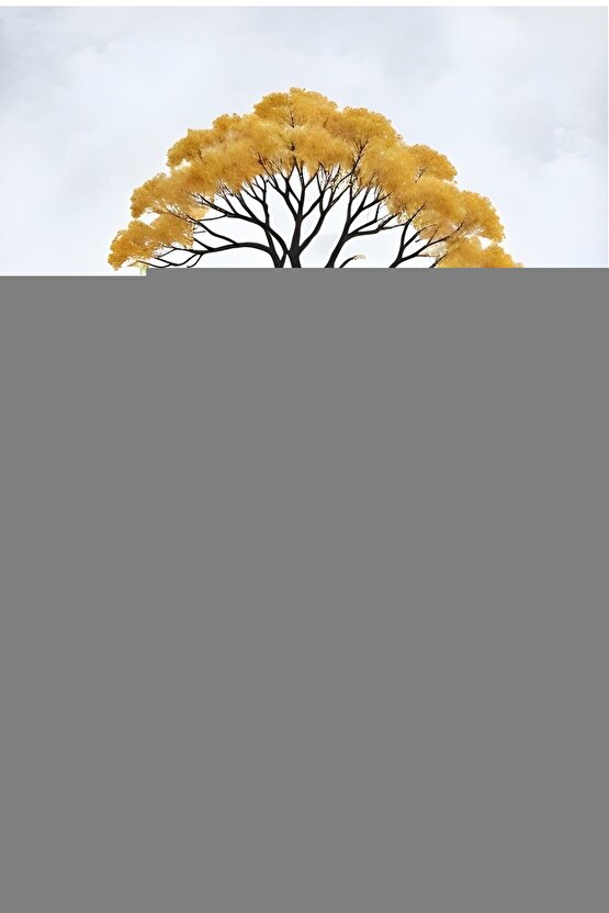 Pom Poko (1994) AFİŞ - POSTER ( FOLYO ) - AFİŞ - POSTER-5167