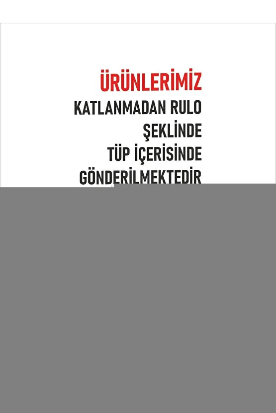 Matisse - Boho - Art Deco - Soyut - Doğa ( 3 lü Çerçevesiz ) Poster - Afiş - Tablo KR2C00653