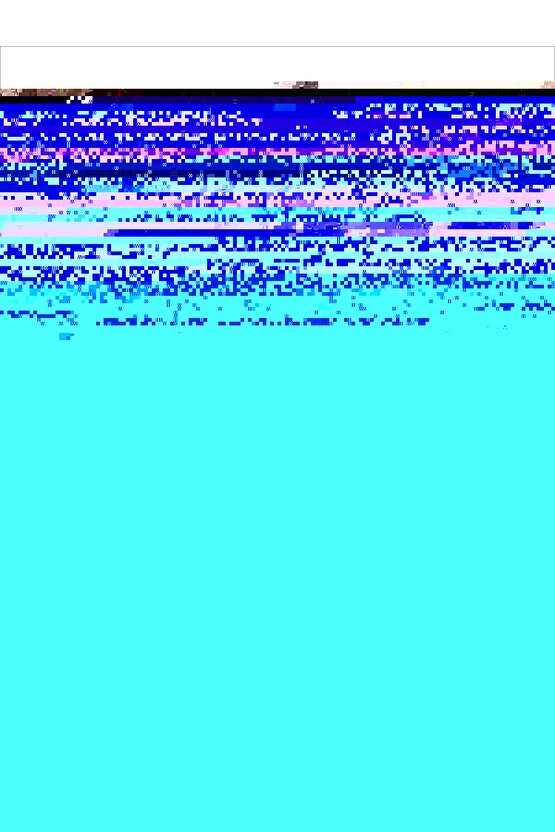 Matisse - Boho - Art Deco - Soyut - Doğa ( 3 lü Çerçevesiz ) Poster - Afiş - Tablo KR2C00693