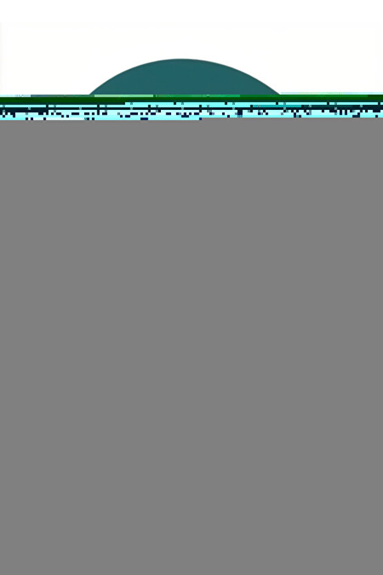 Küçük Prens Fanus Sanatsal Çerçeve Görünümlü Ahşap Tablo