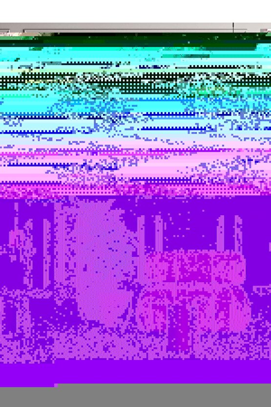 Matisse - Sanat - Soyut - Doğa - Yaşam ( Tekli Çerçevesiz ) Poster - Afiş - Tablo MKKM1551