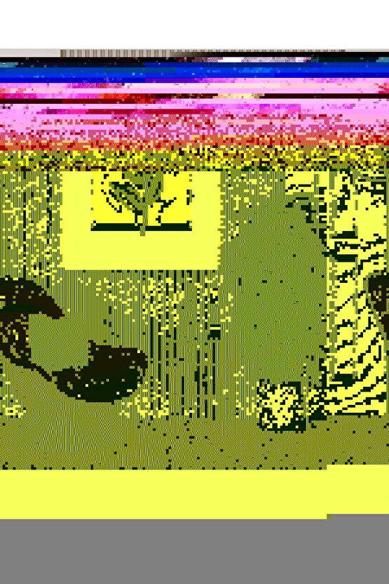 Matisse - Sanat - Soyut - Doğa - Yaşam ( Tekli Çerçevesiz ) Poster - Afiş - Tablo MKKM2317