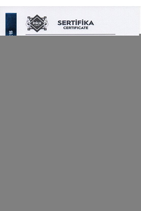 Matisse - Sanat - Soyut - Doğa - Yaşam ( Tekli Çerçevesiz ) Poster - Afiş - Tablo MKKM2569