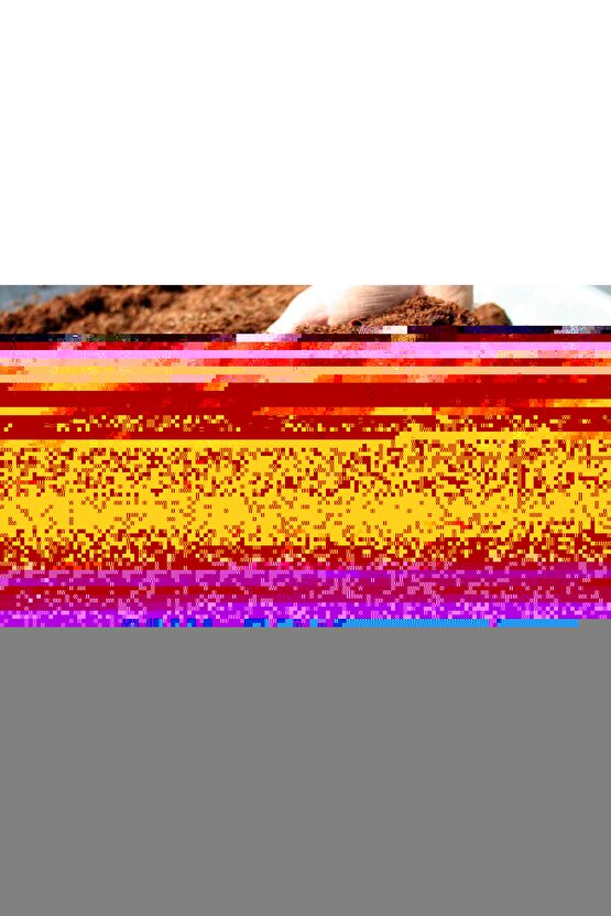 Matisse - Sanat - Soyut - Doğa - Yaşam ( Tekli Çerçevesiz ) Poster - Afiş - Tablo MKKM2053