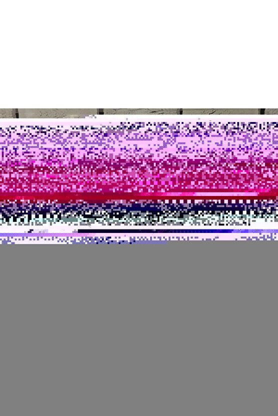 Matisse - Sanat - Soyut - Doğa - Yaşam ( Tekli Çerçevesiz ) Poster - Afiş - Tablo MKKM2129