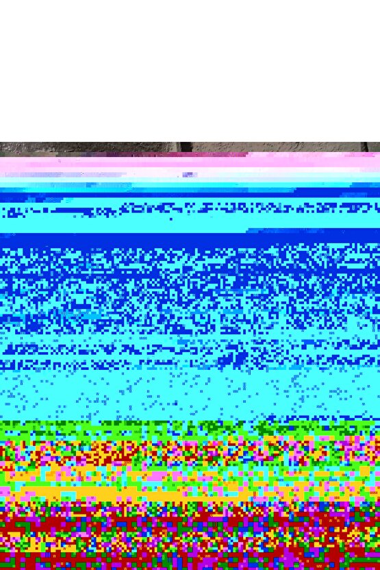 Matisse - Sanat - Soyut - Doğa - Yaşam ( Tekli Çerçevesiz ) Poster - Afiş - Tablo MKKM2138