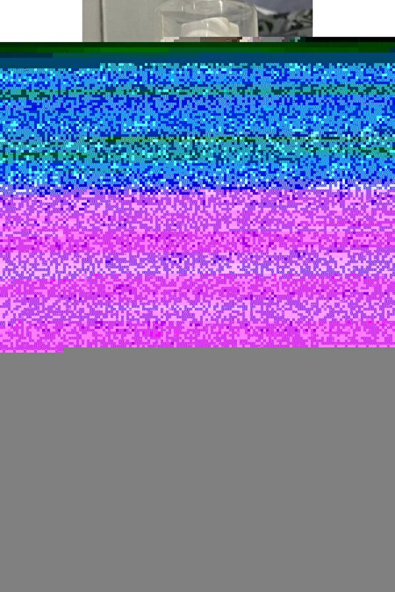 Matisse - Sanat - Soyut - Doğa - Yaşam ( Tekli Çerçevesiz ) Poster - Afiş - Tablo MKKM1374