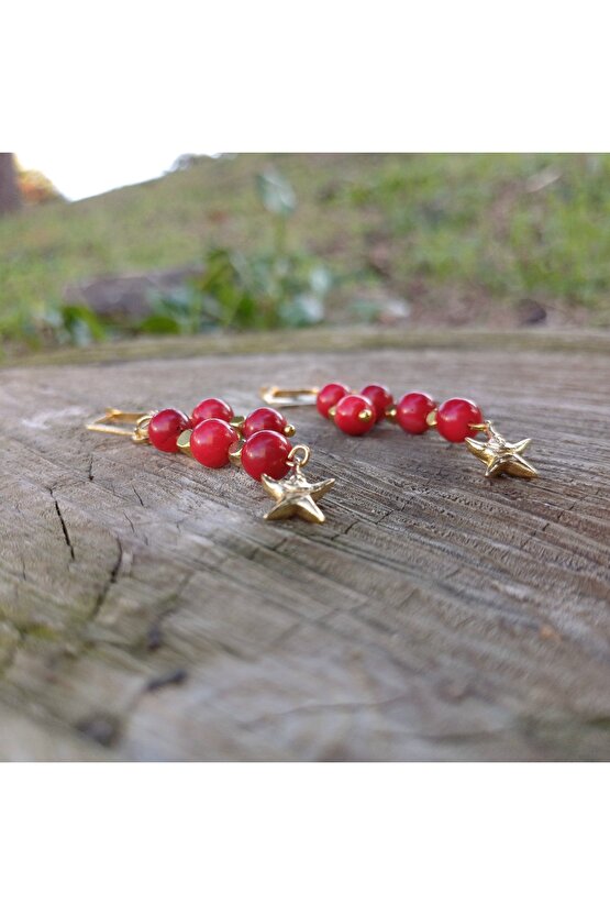 Doğal Taş Mercan Küpe Zerafeti Ve Sifasi Ile Disil Enerji Tasi 6mm