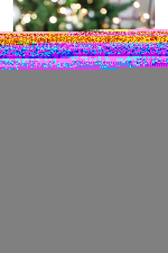 Matisse - Boho - Art Deco - Soyut - Doğa ( 3 lü Çerçevesiz ) Poster - Afiş - Tablo KR2C00022