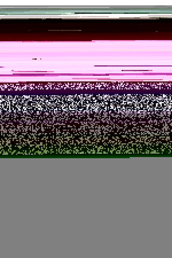 Matisse - Boho - Art Deco - Soyut - Doğa ( 3 lü Çerçevesiz ) Poster - Afiş - Tablo KR2C01031