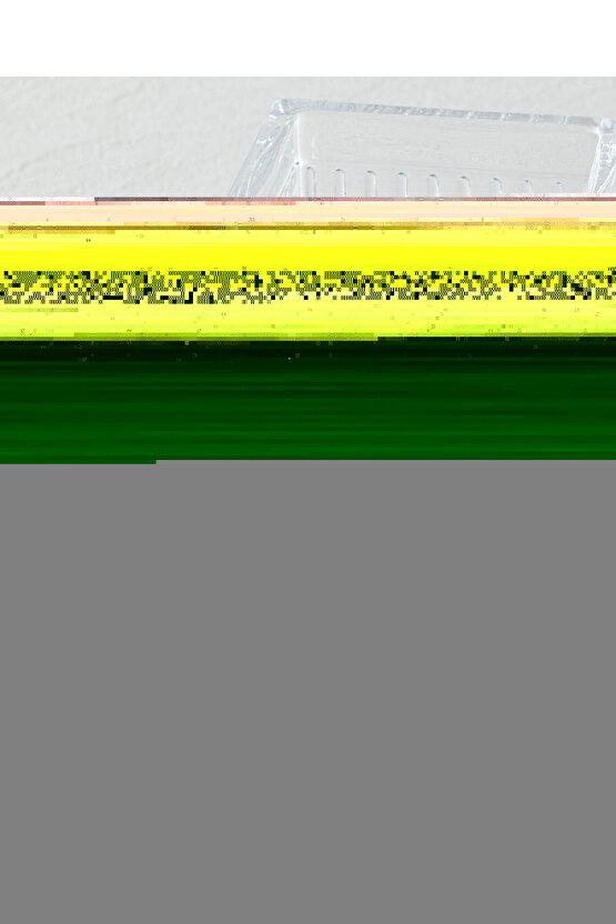 Matisse - Boho - Art Deco - Soyut - Doğa ( 3 lü Çerçevesiz ) Poster - Afiş - Tablo KR2C01035