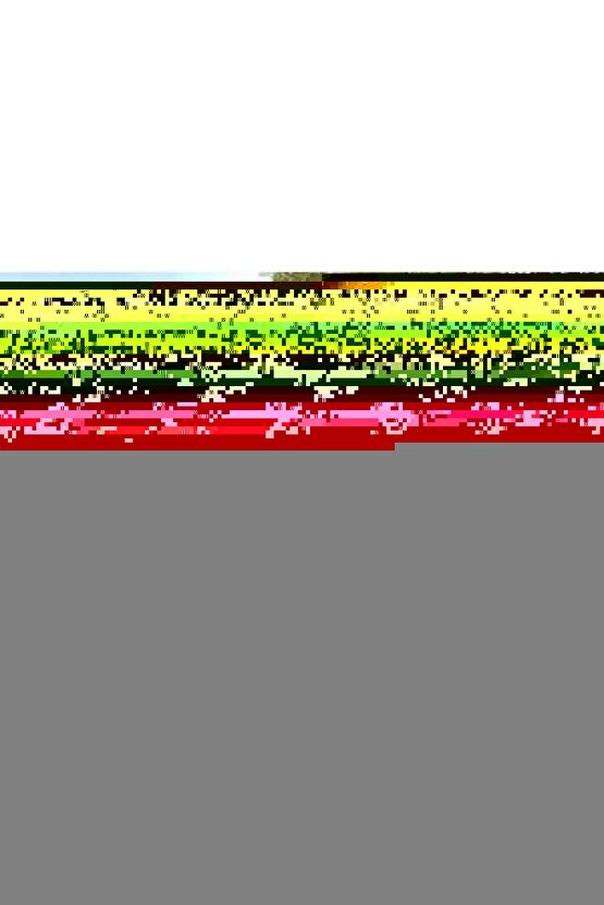 The Hurricane  Onaltıncı Raund