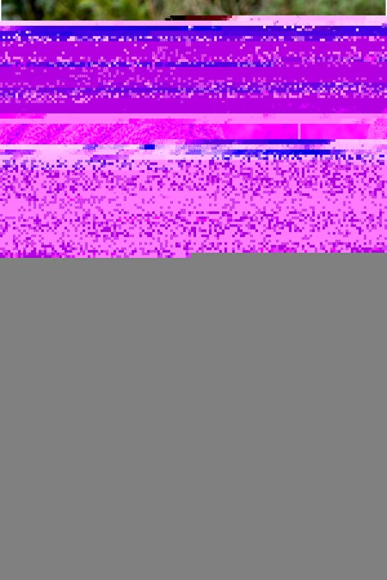 Dekoratif Kitap Görünümlü Kutu 2li Set Decorative Book Looking Box