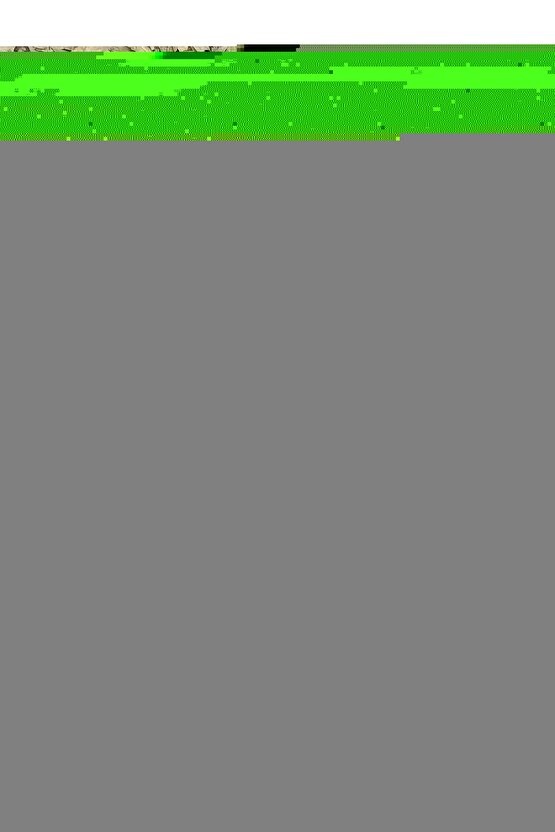 Tag-heuer Uyumlu  22-20   Beyaz Dikişli  Kahverengi  Hakiki dana derisi  (28 )